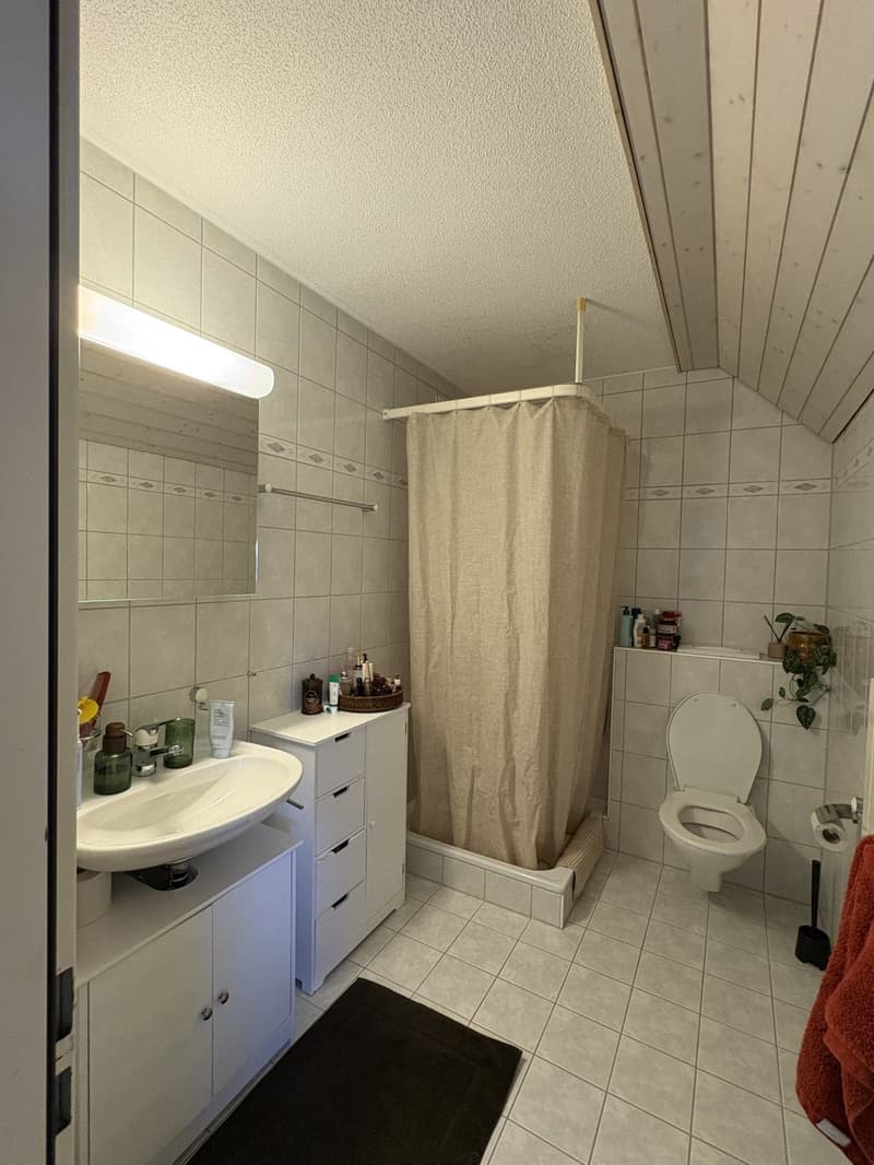 Room in a shared flat, 8051 Zurich (2)