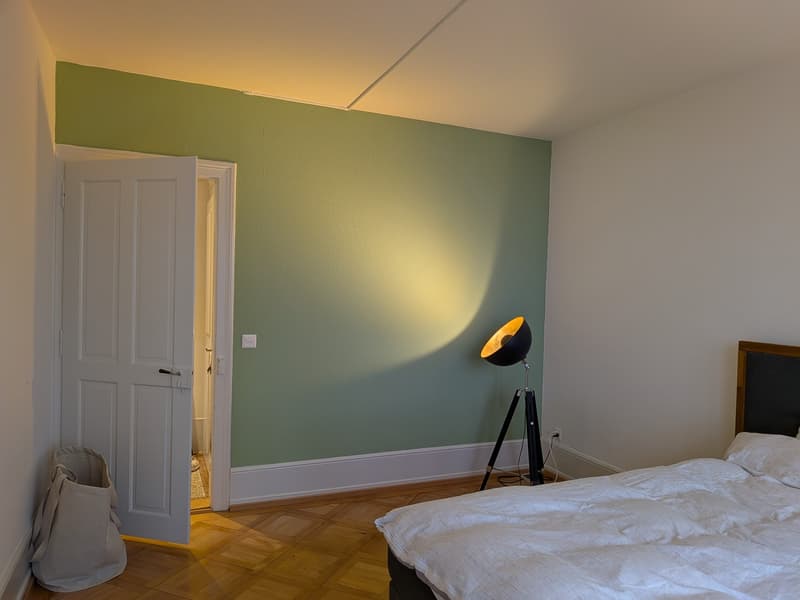 2-Zimmer-Altbauwohnung im Breitsch (5)