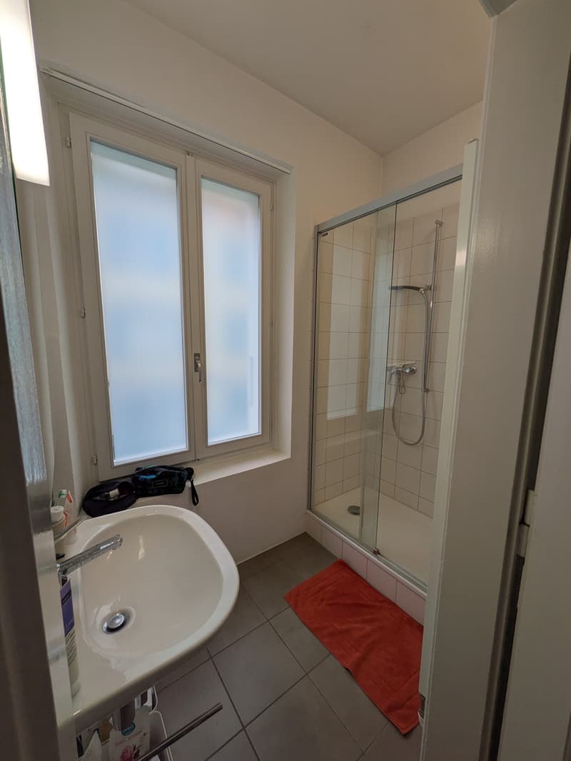 2-Zimmer-Altbauwohnung im Breitsch (7)