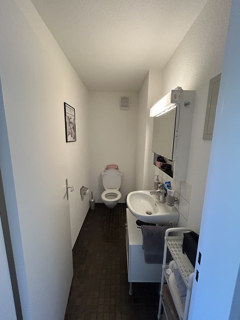 3.5 Zimmer-Wohnung im Höngg (6)