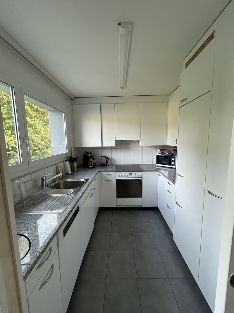 3.5 Zimmer-Wohnung im Höngg (8)
