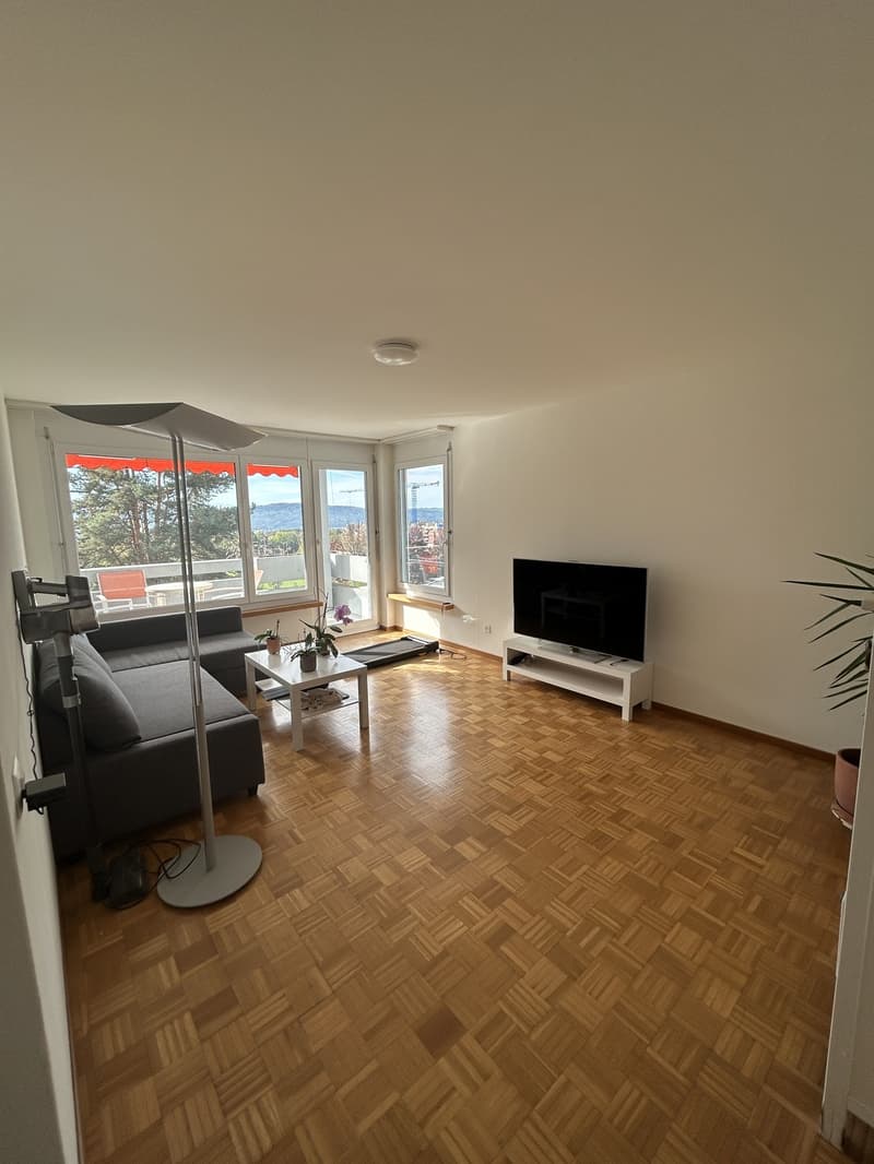 3.5 Zimmer-Wohnung im Höngg (3)