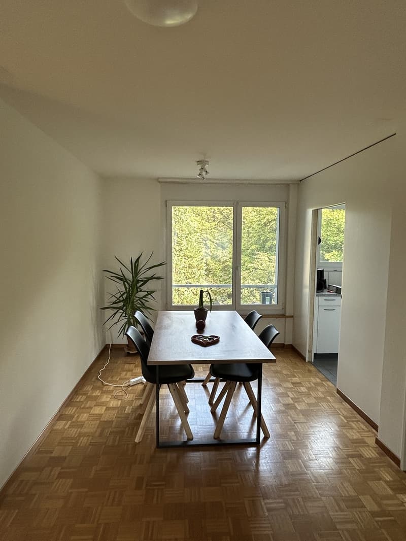 3.5 Zimmer-Wohnung im Höngg (1)
