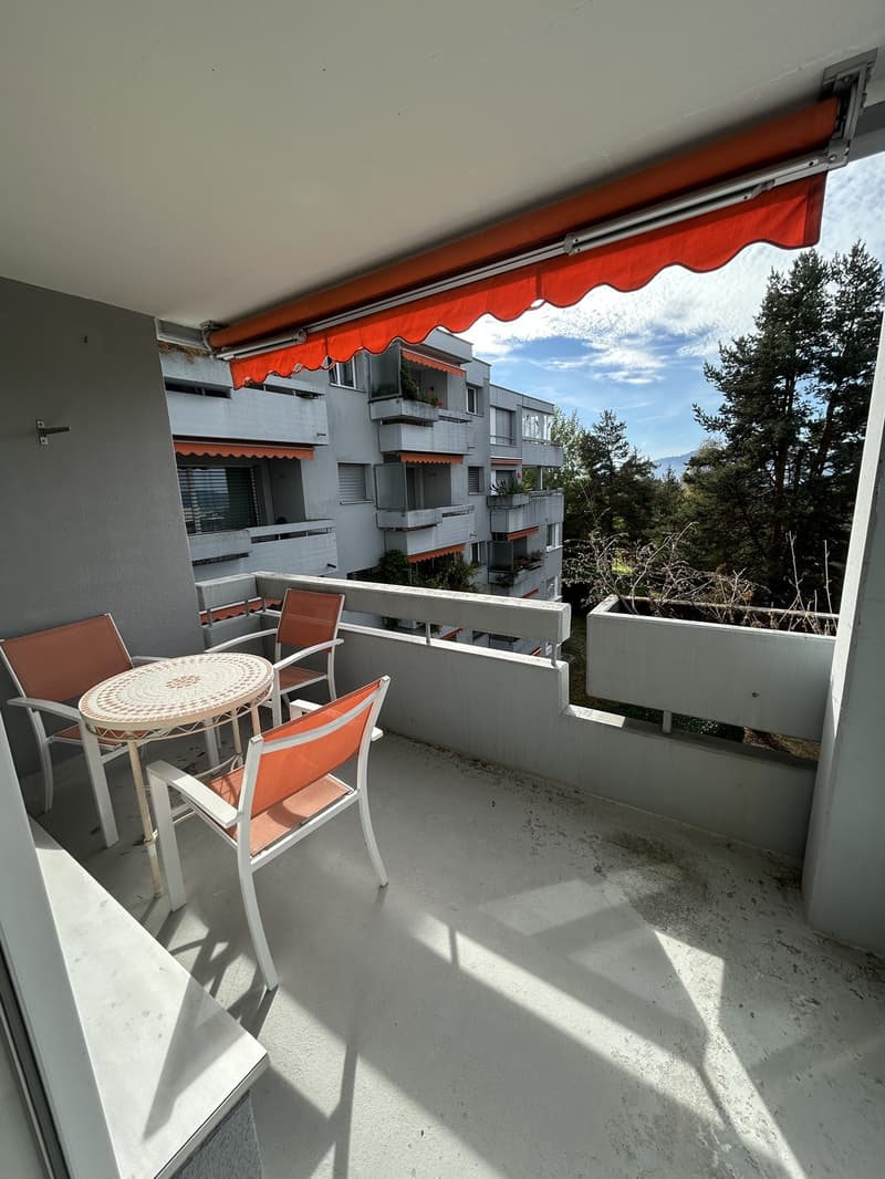 3.5 Zimmer-Wohnung im Höngg (7)