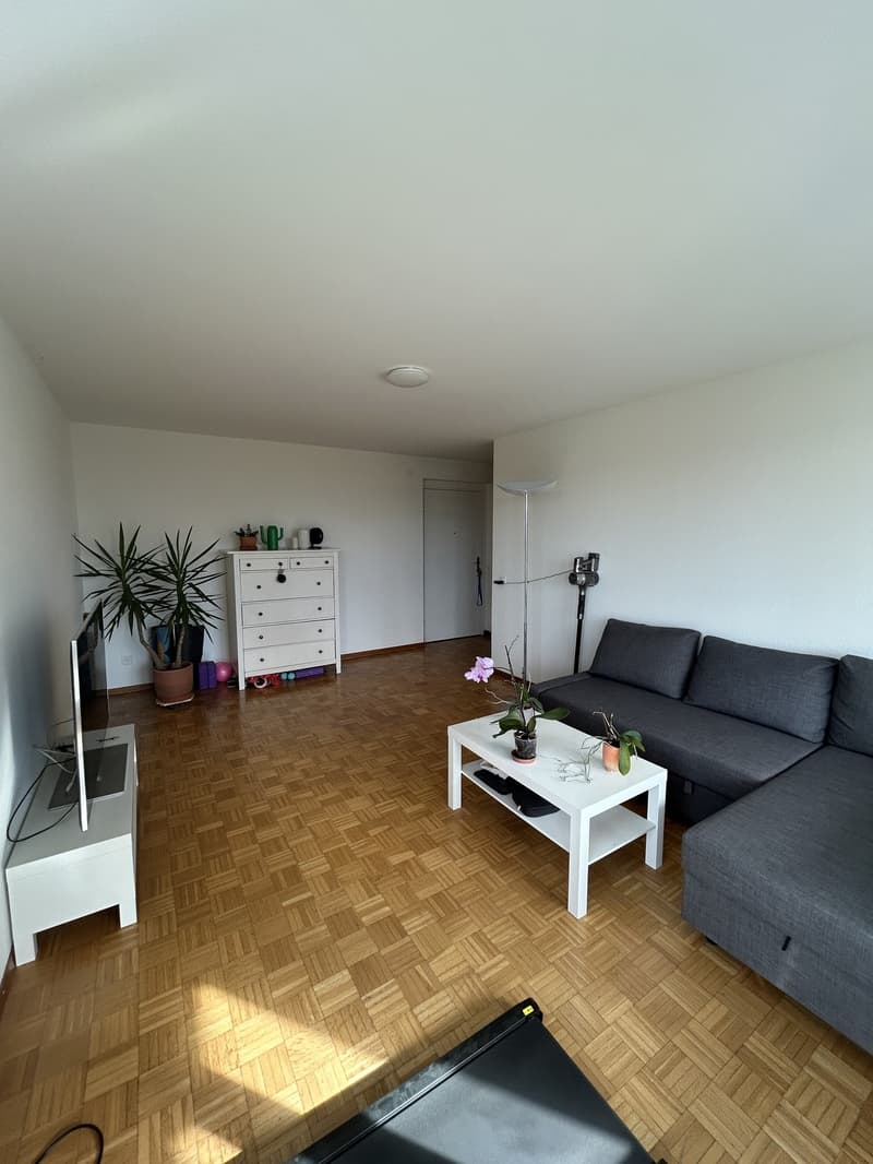 3.5 Zimmer-Wohnung im Höngg (4)