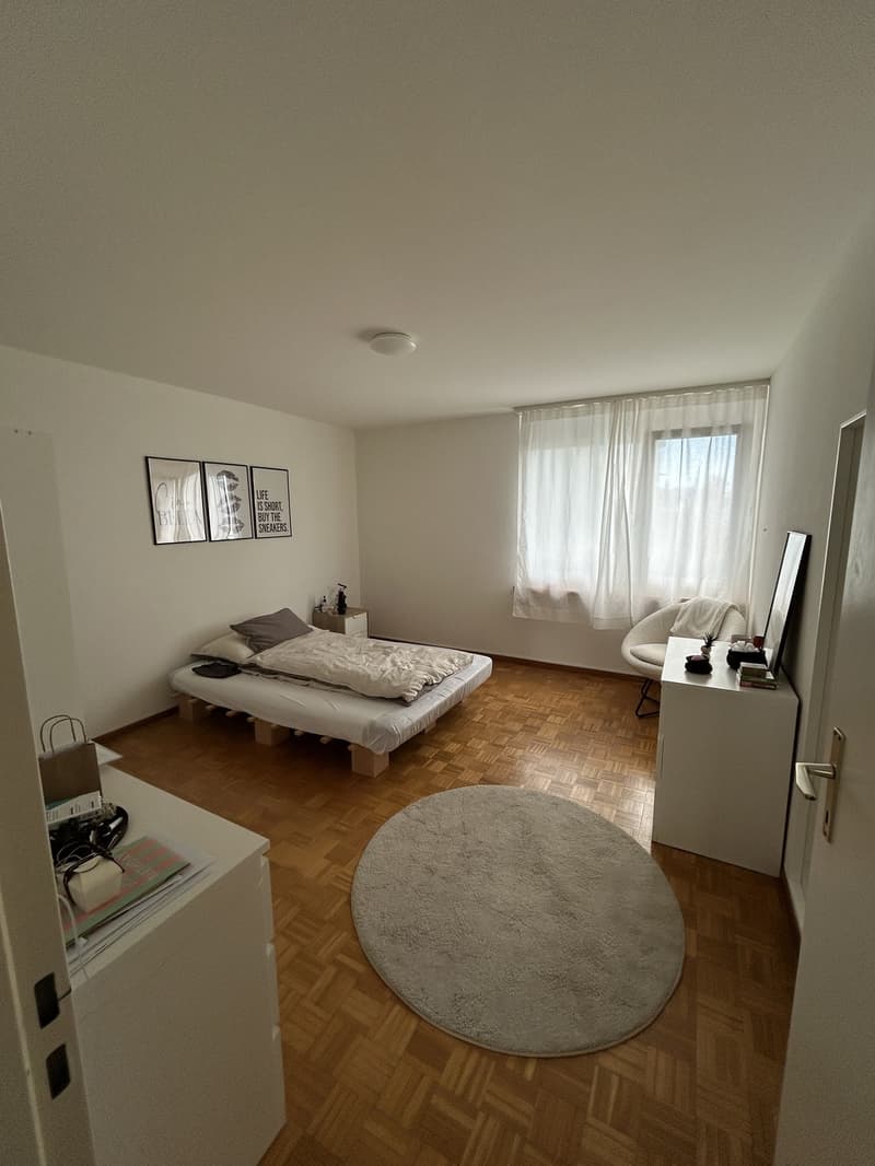 3.5 Zimmer-Wohnung im Höngg (10)
