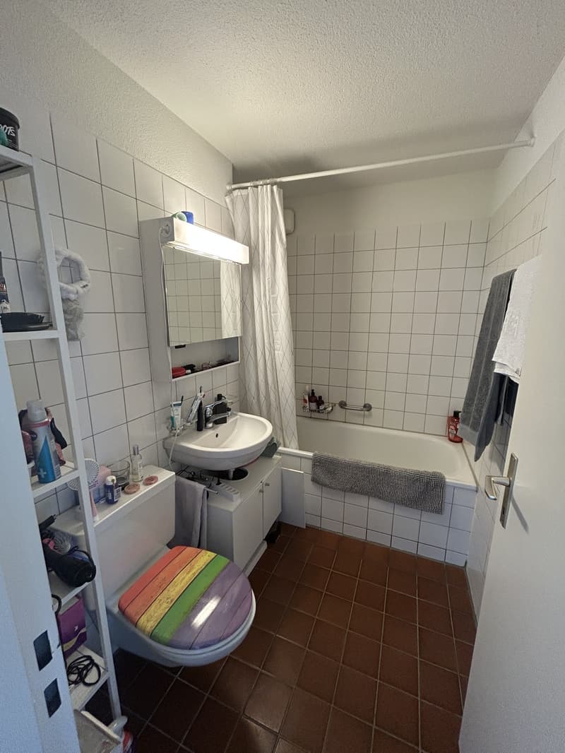 3.5 Zimmer-Wohnung im Höngg (5)