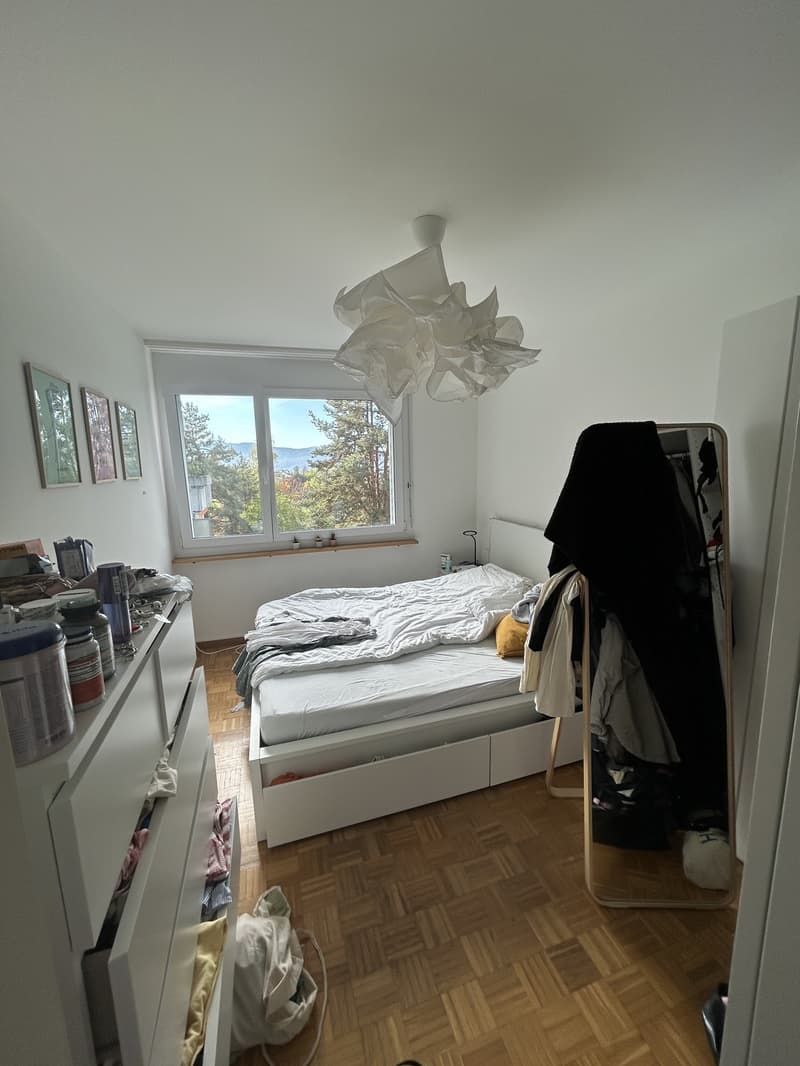 3.5 Zimmer-Wohnung im Höngg (9)