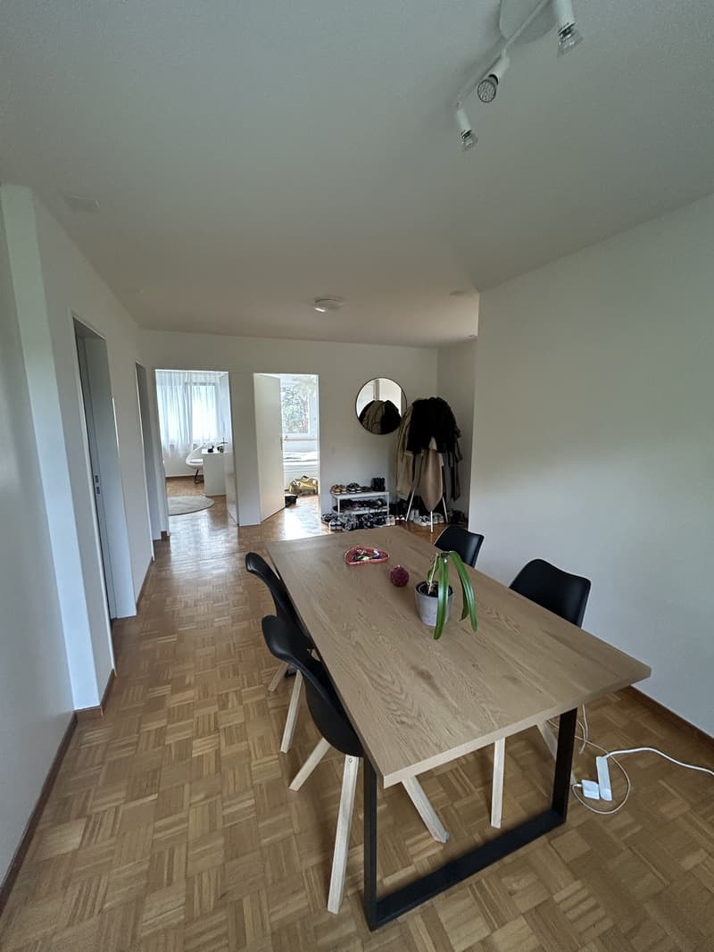 3.5 Zimmer-Wohnung im Höngg (2)
