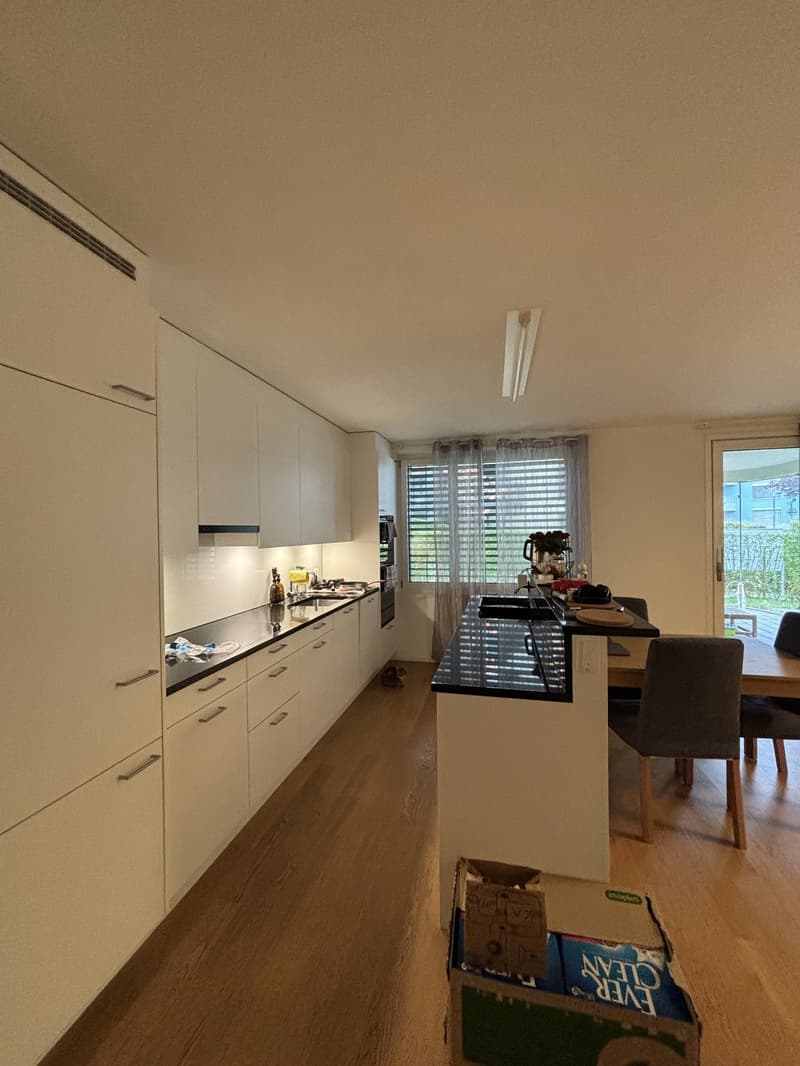 Quiet apartment with a garden - Zurich Wolishofen (4)