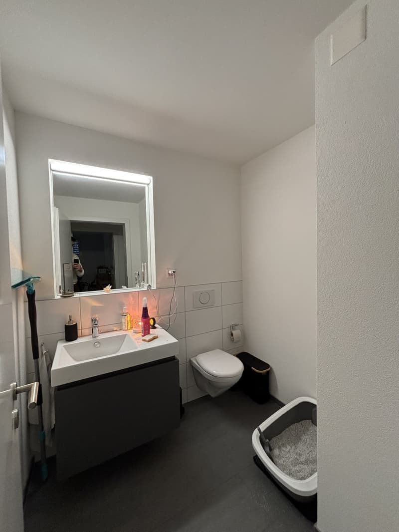 Quiet apartment with a garden - Zurich Wolishofen (9)