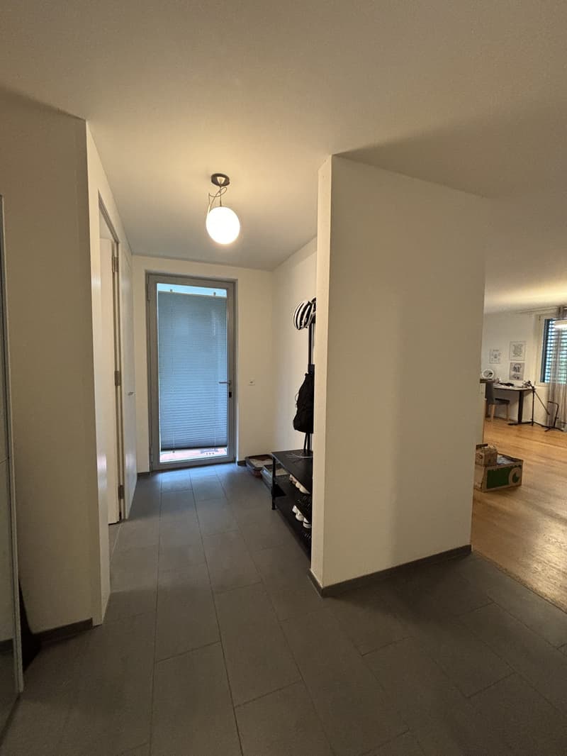 Quiet apartment with a garden - Zurich Wolishofen (12)