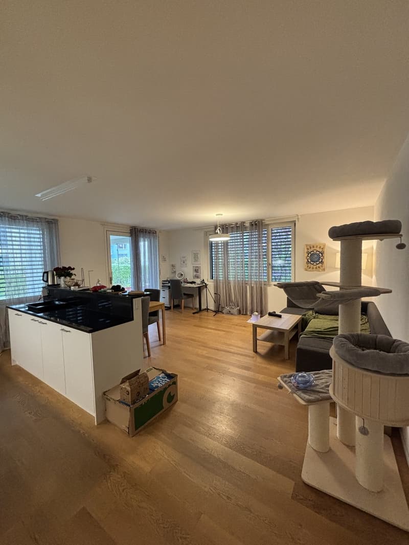 Quiet apartment with a garden - Zurich Wolishofen (1)