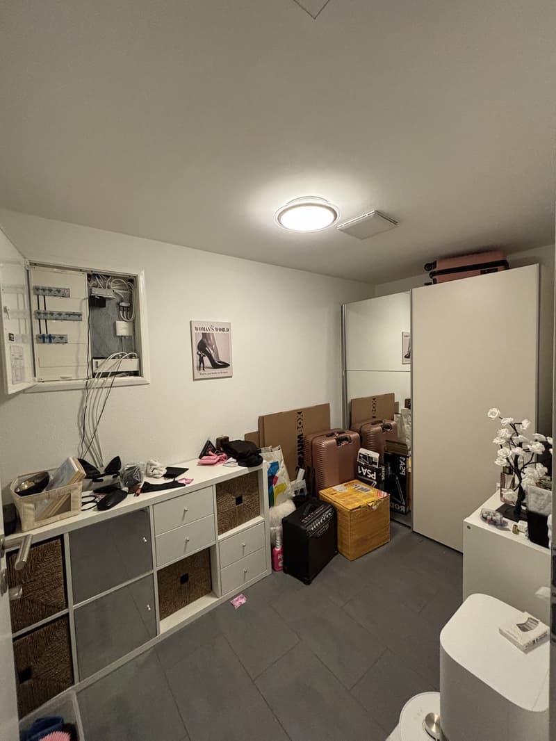 Quiet apartment with a garden - Zurich Wolishofen (10)
