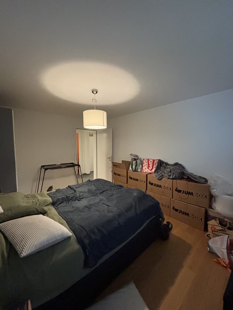 Quiet apartment with a garden - Zurich Wolishofen (6)