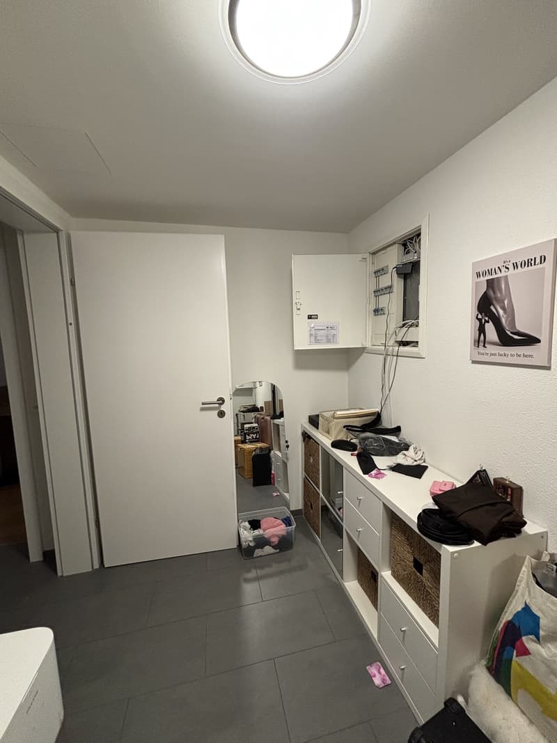 Quiet apartment with a garden - Zurich Wolishofen (11)