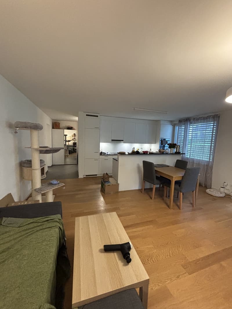 Quiet apartment with a garden - Zurich Wolishofen (2)