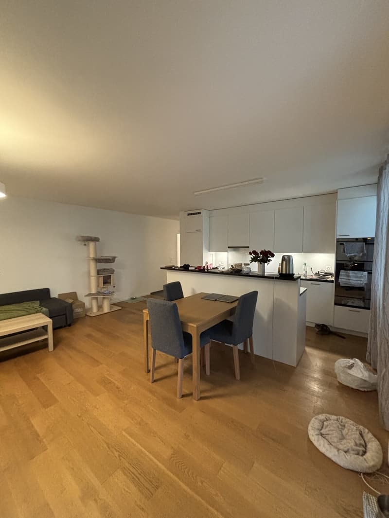 Quiet apartment with a garden - Zurich Wolishofen (3)