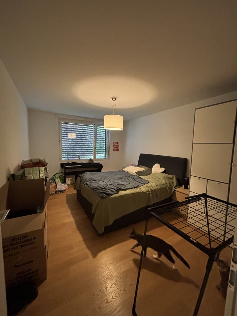 Quiet apartment with a garden - Zurich Wolishofen (5)
