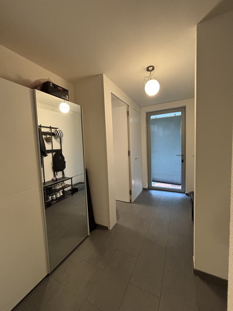 Quiet apartment with a garden - Zurich Wolishofen (13)