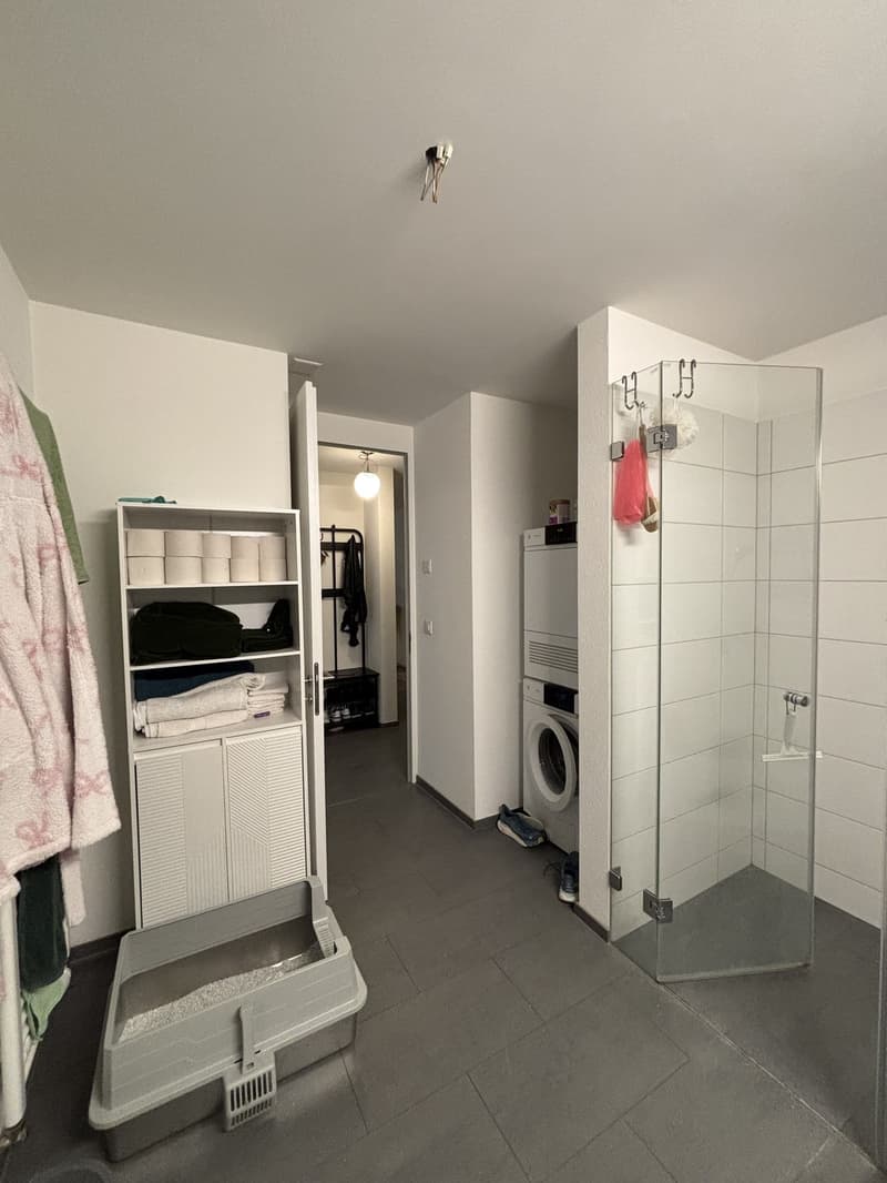 Quiet apartment with a garden - Zurich Wolishofen (8)