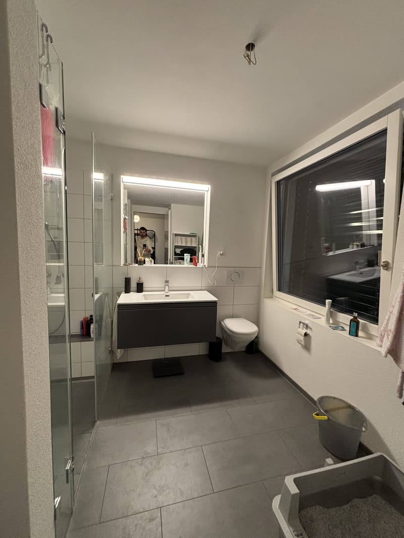 Quiet apartment with a garden - Zurich Wolishofen (7)