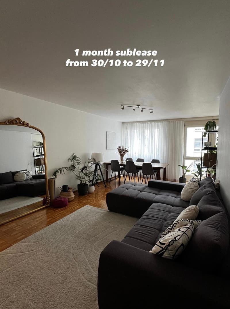 1 MONTH Sublet - Furnished 2.5 apartment in Zurich available from 31 October to 27 November 2026 (2)