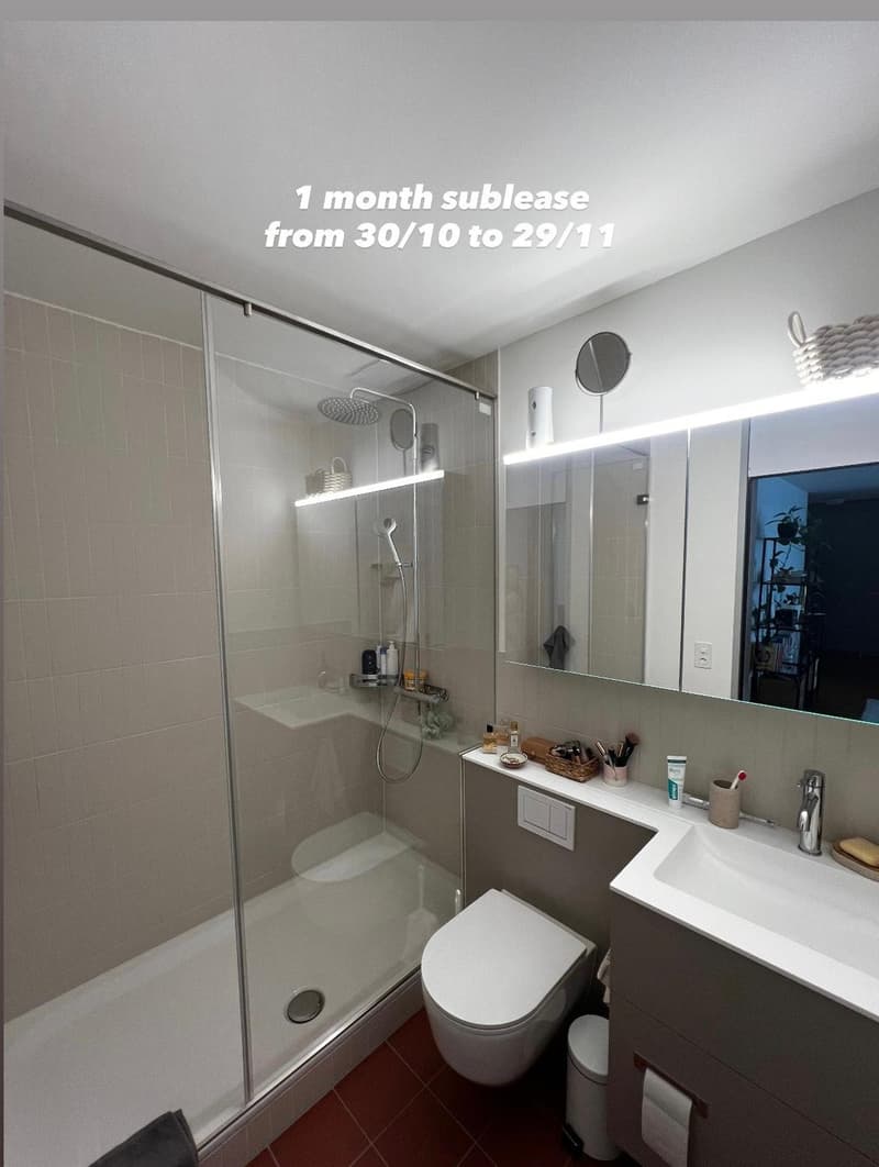 1 MONTH Sublet - Furnished 2.5 apartment in Zurich available from 31 October to 27 November 2026 (3)