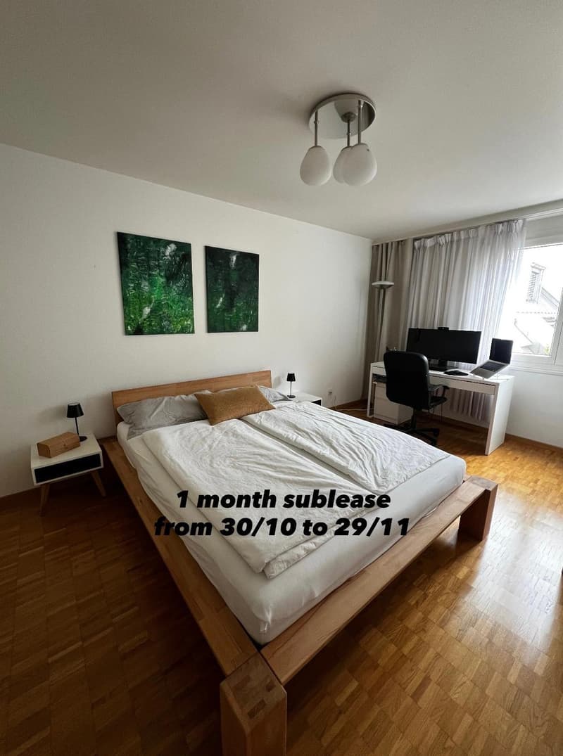 1 MONTH Sublet - Furnished 2.5 apartment in Zurich available from 31 October to 27 November 2026 (4)