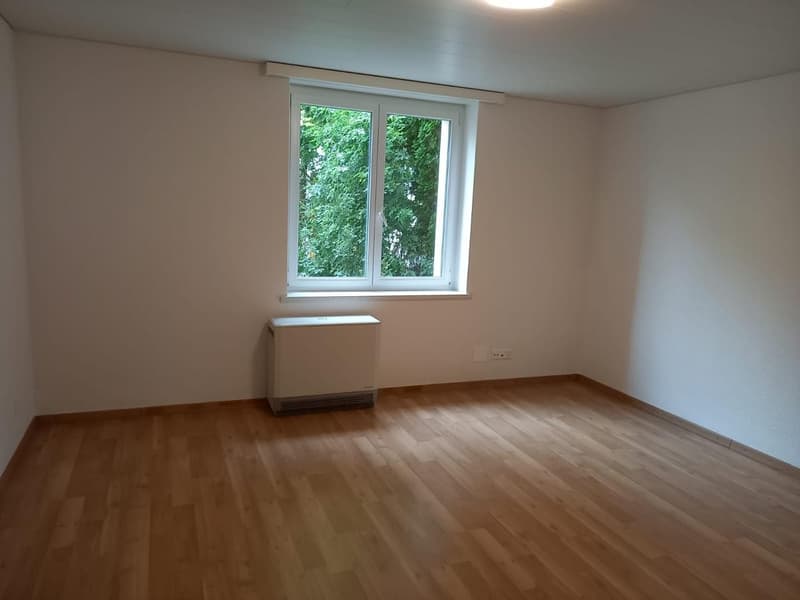 3-Zimmer-Wohnung zu mieten (1)