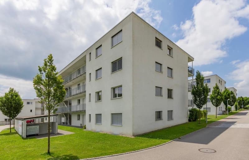 Nachmieter gesucht ab 1.12.2026 (4)