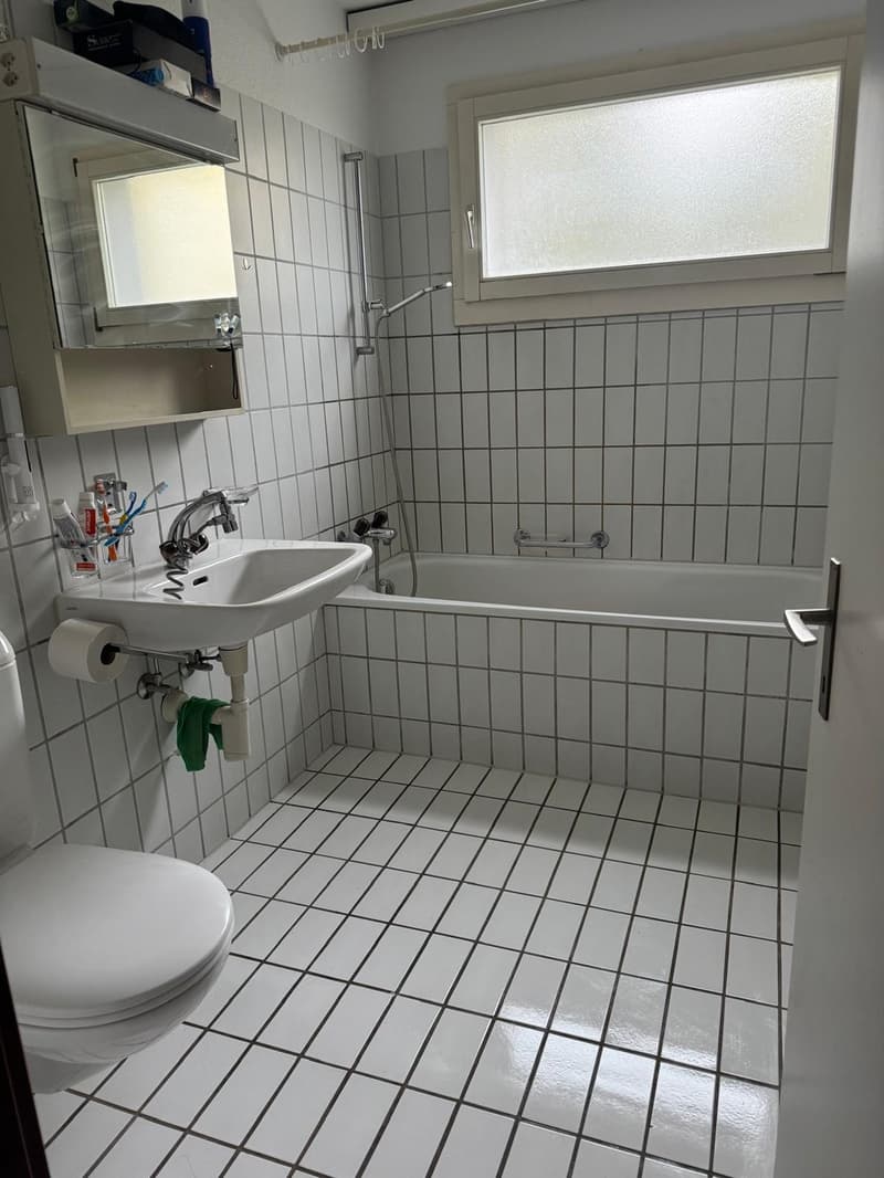 Nachmieter/in gesucht 3,5-Zimmer-Wohnung in Neuhausen am Rheinfall ab 16.12.2026 (9)
