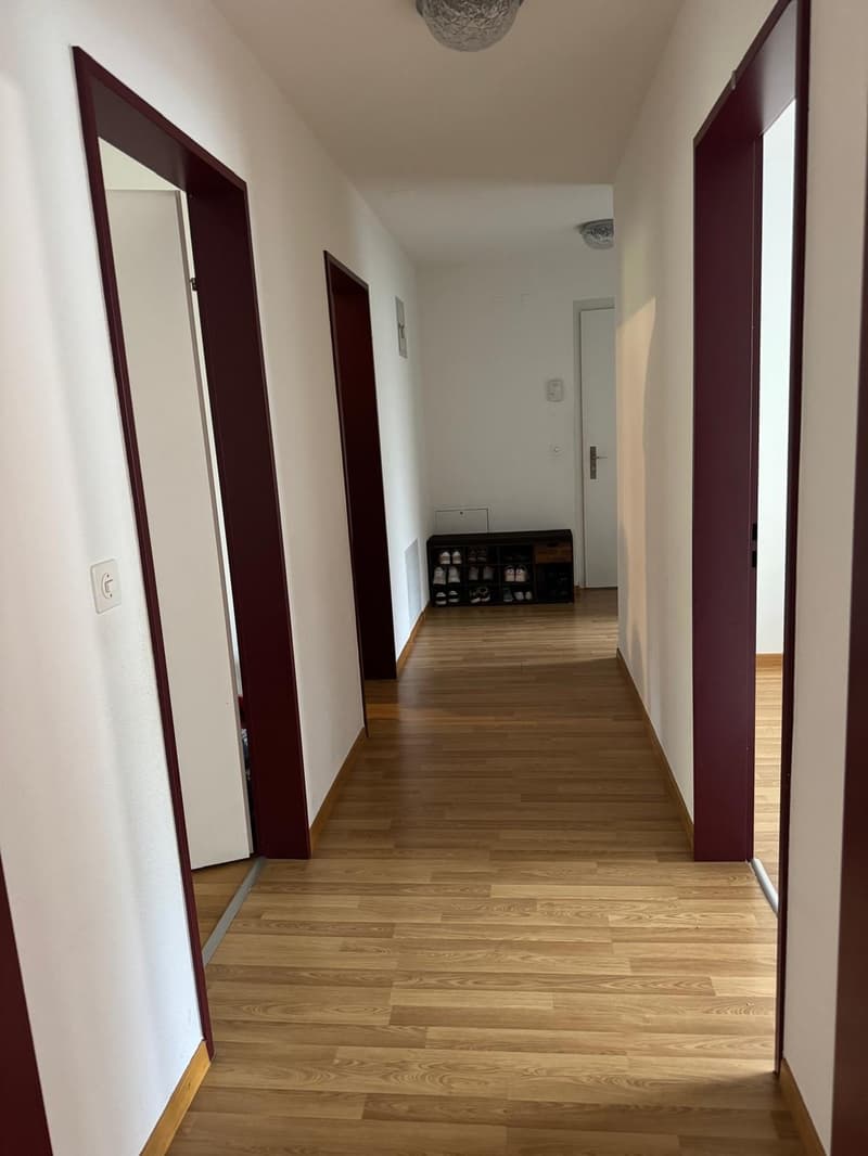 Nachmieter/in gesucht 3,5-Zimmer-Wohnung in Neuhausen am Rheinfall ab 16.12.2026 (8)