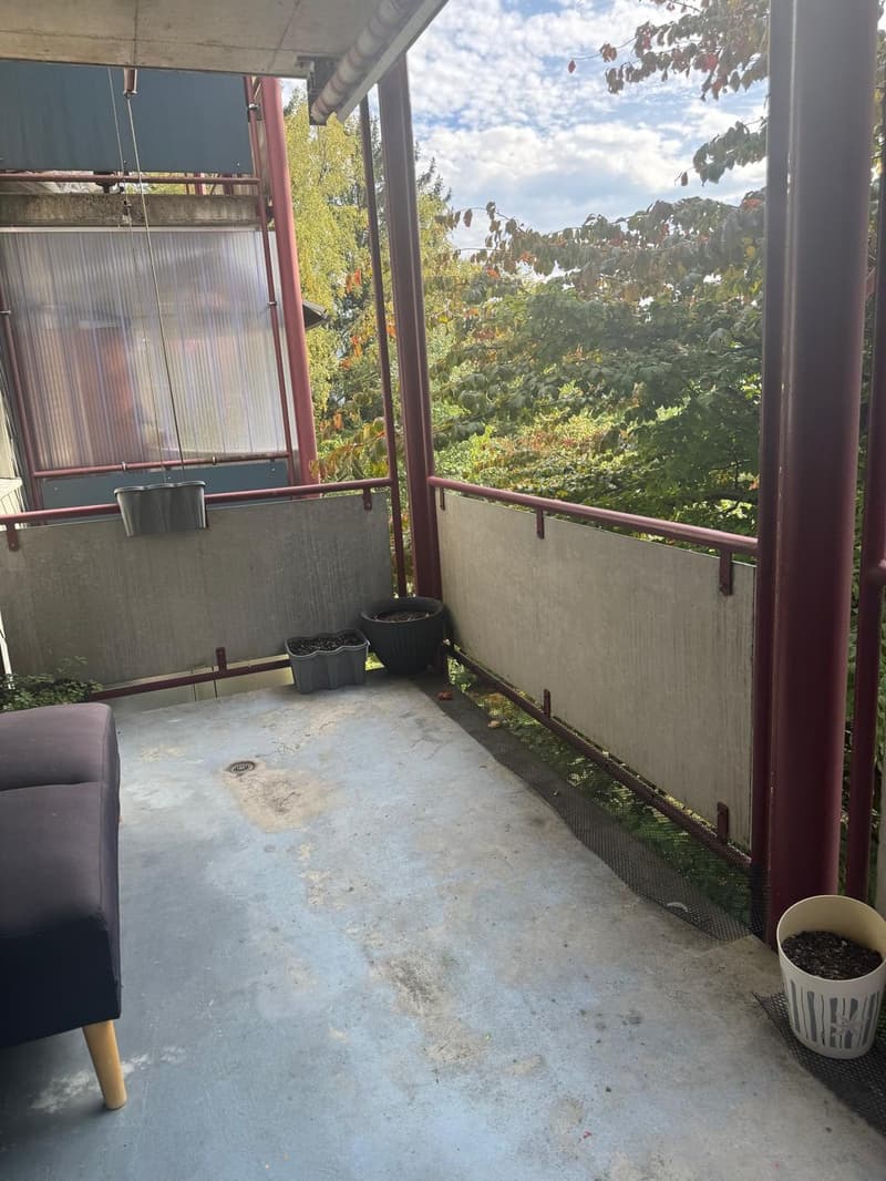 Nachmieter/in gesucht 3,5-Zimmer-Wohnung in Neuhausen am Rheinfall ab 16.12.2026 (10)