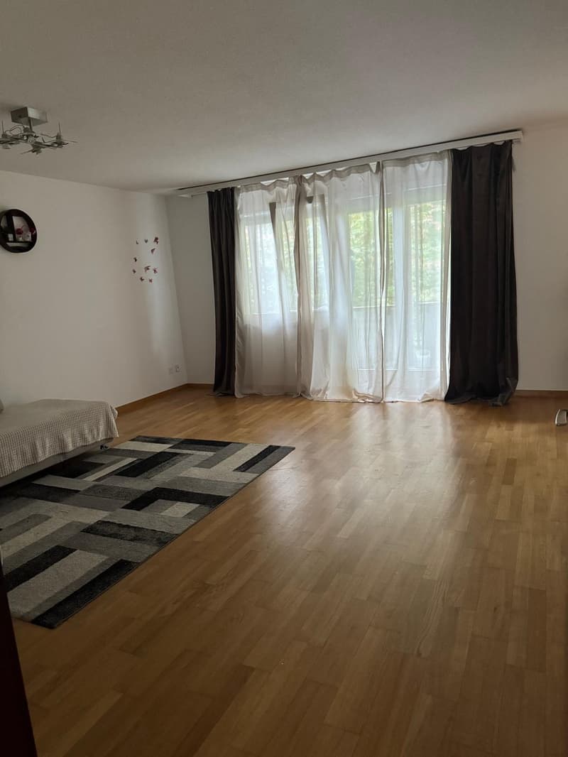 Nachmieter/in gesucht 3,5-Zimmer-Wohnung in Neuhausen am Rheinfall ab 16.12.2026 (2)
