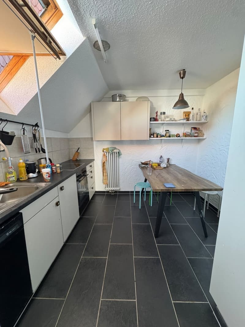 Central Appartment in St.Gallen! (3)