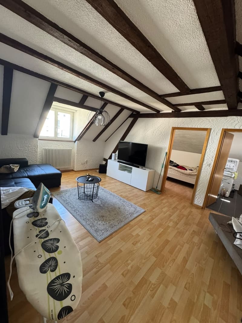 Central Appartment in St.Gallen! (1)