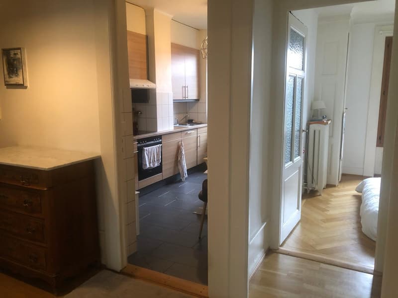 Appartement lumineux de 4 pièces Plainpalais / Uni Mail 1er étage (12)