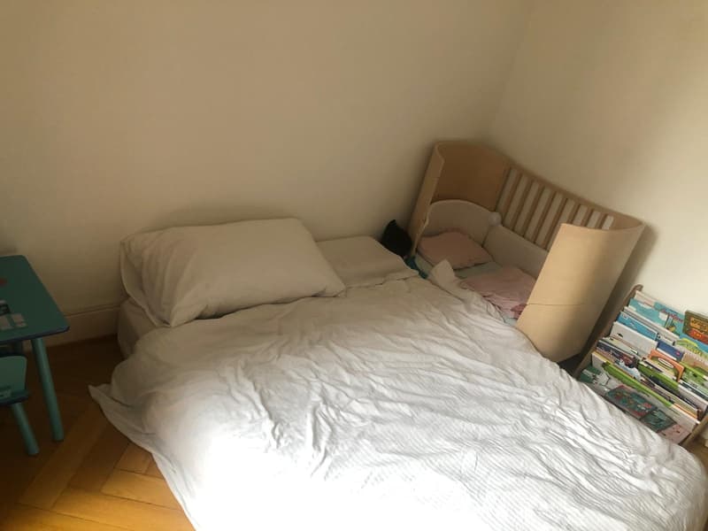 Appartement lumineux de 4 pièces Plainpalais / Uni Mail 1er étage (9)