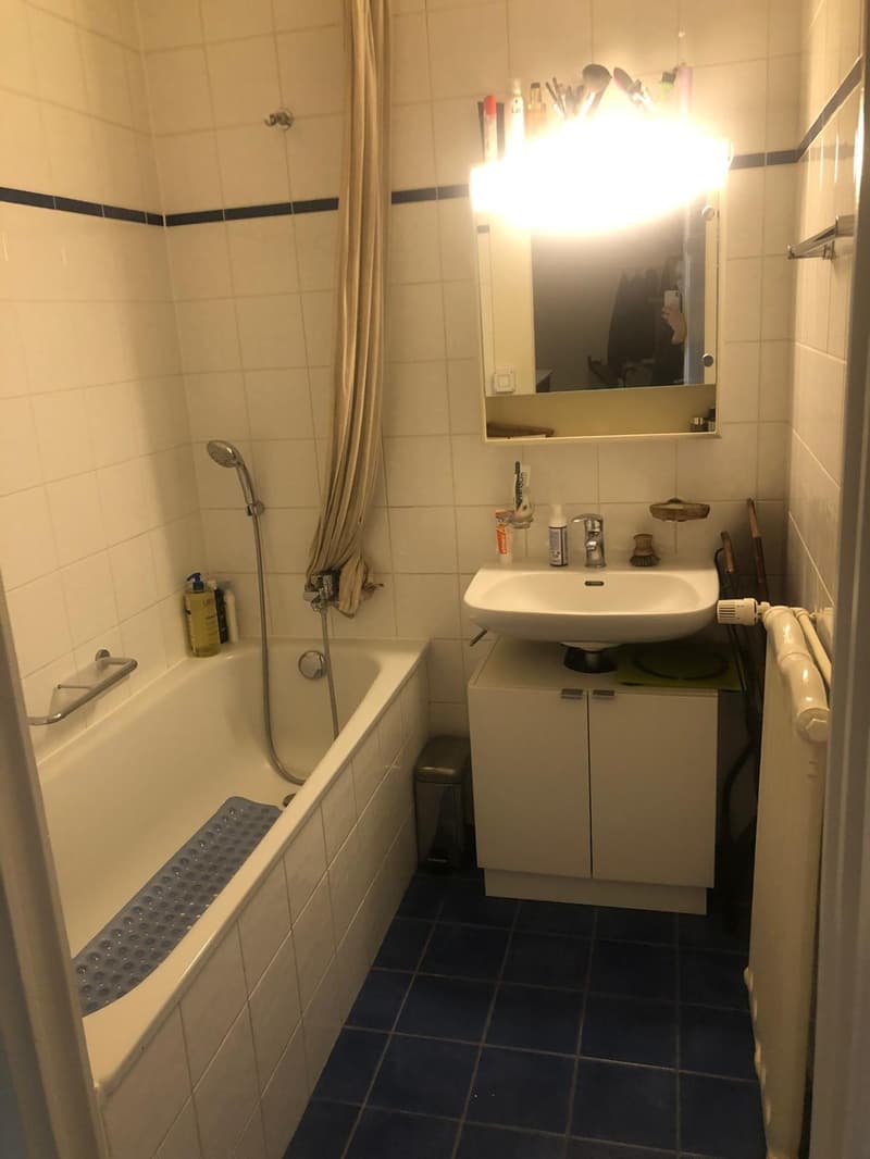 Appartement lumineux de 4 pièces Plainpalais / Uni Mail 1er étage (13)