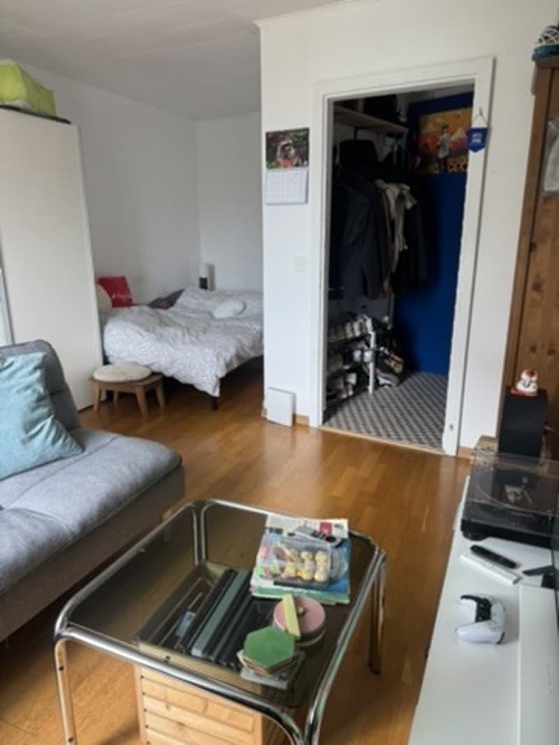 Appartement lumineux avec balcon  Centre-ville de Fribourg (8)