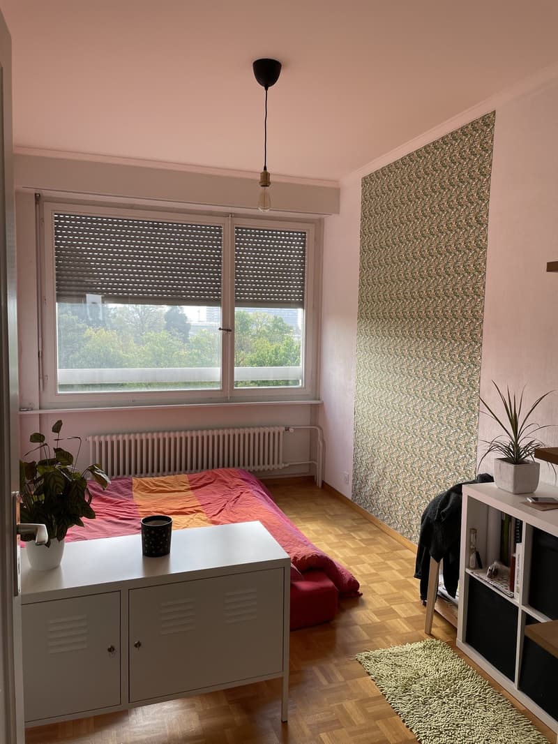 Chambre dans magnifique collocation (4)