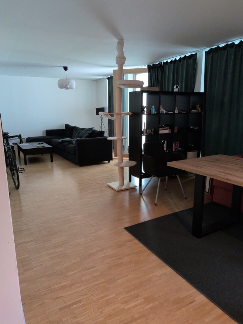 Moderne, grosse 4.5 Zimmer Wohnung in Niederlenz (1)