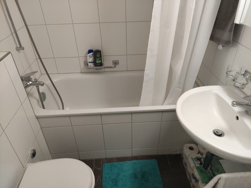 WG Zimmer, 8610 Uster (3)