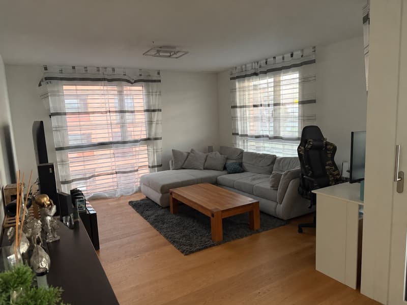 Nachmieter 2,5 Wohnung gesucht (3)