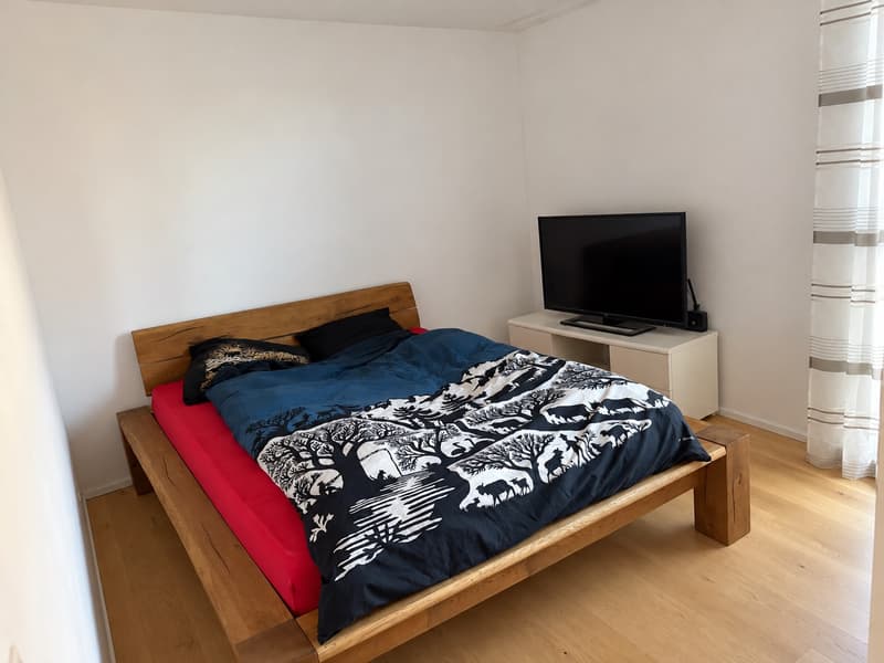 Nachmieter 2,5 Wohnung gesucht (5)