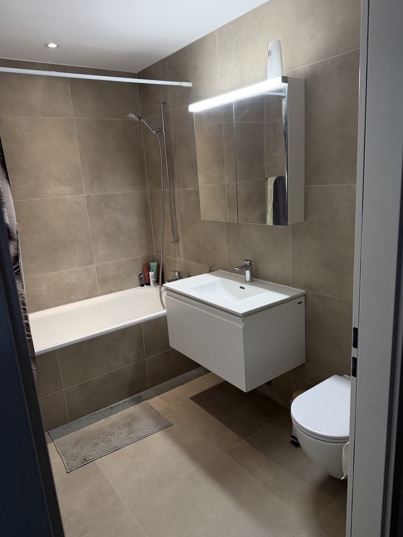 Nachmieter 2,5 Wohnung gesucht (8)