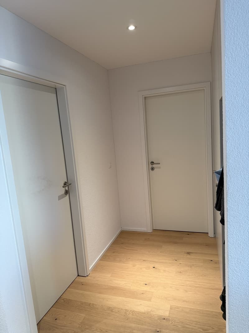Nachmieter 2,5 Wohnung gesucht (7)