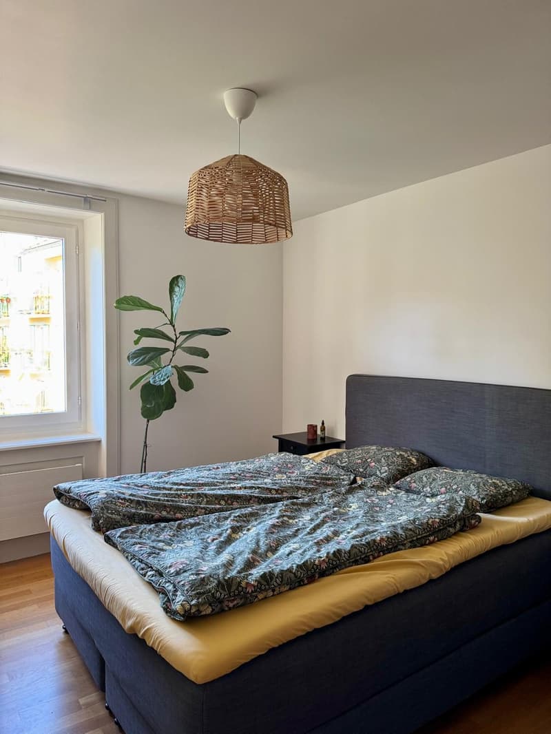 3 1/2 Zimmer Wohnung in Luzern befristet zur Untermiete (3)