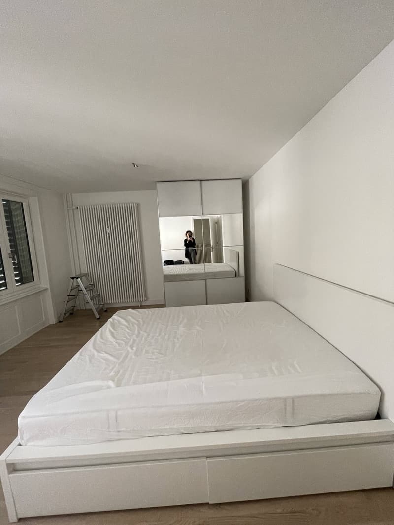 Bright 3.5-Room Apartment with Balcony, Private Washer/Dryer & Excellent Transport Links (7)